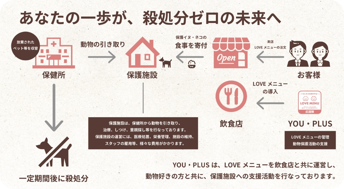 About The Scheme