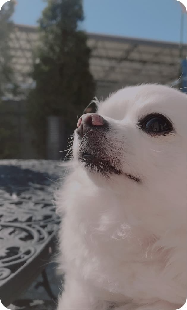 小太郎